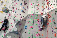 IMG_20250403_142215